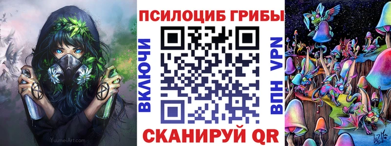 Псилоцибиновые грибы ЛСД  Купить закладки  Заринск 